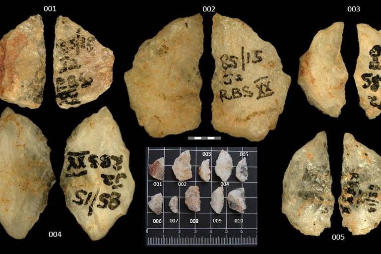 Flechas antigas em exibição com evidências de envenenamento datando de 60.000 anos.